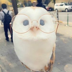 Meet your Posher, Marshall